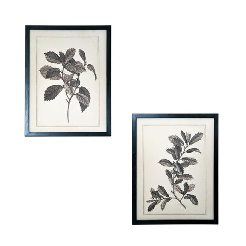 Set of Two Black And White Botanical Leaves Framed Art