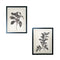 Set of Two Black And White Botanical Leaves Framed Art
