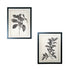 Set of Two Black And White Botanical Leaves Framed Art