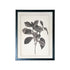 Set of Two Black And White Botanical Leaves Framed Art