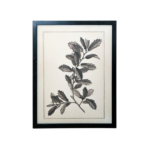 Set of Two Black And White Botanical Leaves Framed Art