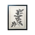Set of Two Black And White Botanical Leaves Framed Art