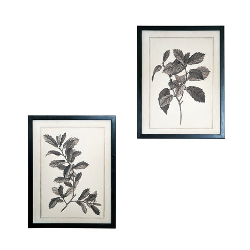 Set of Two Black And White Botanical Leaves Framed Art