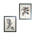 Set of Two Black And White Botanical Leaves Framed Art