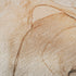 8' X 10' Orange And Ivory Abstract Washable Area Rug With UV Protection