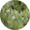 9' X 12' Fern Green And Gray Abstract Distressed Washable Area Rug With UV Protection