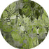 9' X 12' Fern Green And Gray Abstract Distressed Washable Area Rug With UV Protection