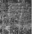 5' X 8' Gray And Ivory Abstract Washable Area Rug With UV Protection
