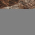 9' X 12' Rust And Ivory Floral Washable Area Rug With UV Protection