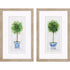 Set Of Two Rosemary Thyme Brown Framed Wall Art