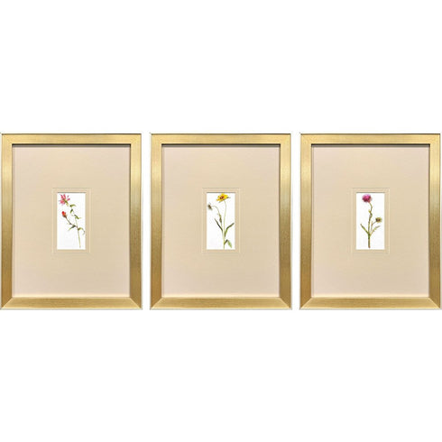 Set Of Three Pretty Florals I Gold Framed Wall Art