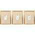 Set Of Three Pretty Florals I Gold Framed Wall Art
