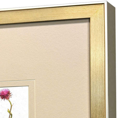 Set Of Three Pretty Florals I Gold Framed Wall Art