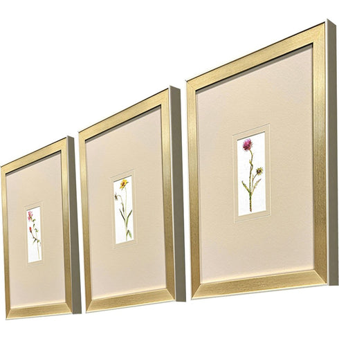 Set Of Three Pretty Florals I Gold Framed Wall Art