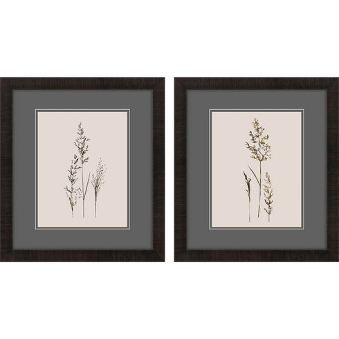 Set Of Two Delicate Stems Brown Framed Wall Art