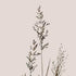 Set Of Two Delicate Stems Brown Framed Wall Art