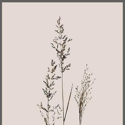 Set Of Two Delicate Stems Brown Framed Wall Art