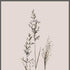 Set Of Two Delicate Stems Brown Framed Wall Art