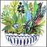 Set Of Two Succulent Garden II Gold Framed Wall Art