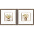 Set Of Two Earthy Garden Silver Framed Wall Art