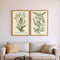 Set Of Two Botanical Plants III Gold Framed Wall Art