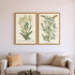 Set Of Two Botanical Plants III Gold Framed Wall Art