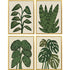 Set Of Four Tropical Abundance Gold Framed Wall Art