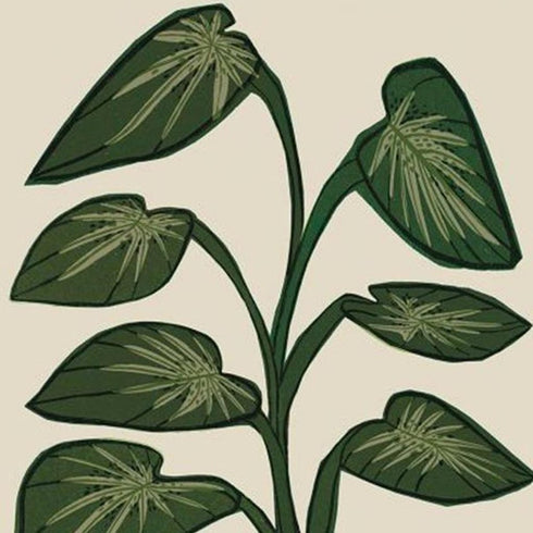 Set Of Four Tropical Abundance Gold Framed Wall Art