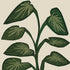 Set Of Four Tropical Abundance Gold Framed Wall Art