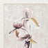 Purple Dancing Orchid II Silver Framed Wall Art