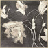Neutral Flora I Gold Framed Wall Art