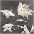 Neutral Flora II Gold Framed Wall Art