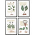 Set Of Four Magical Botany Black Framed Wall Art