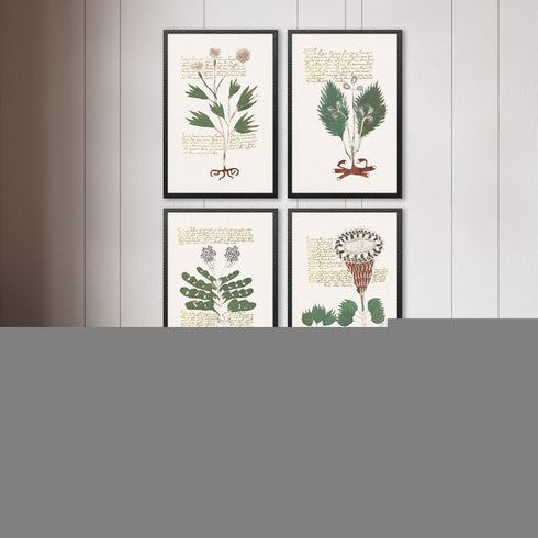 Set Of Four Magical Botany Black Framed Wall Art