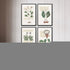 Set Of Four Magical Botany Black Framed Wall Art