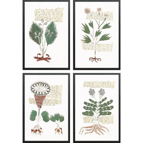Set Of Four Magical Botany Black Framed Wall Art