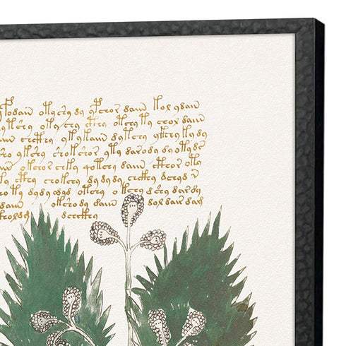 Set Of Four Magical Botany Black Framed Wall Art