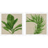 Set Of Two Palm Isle II Distressed White Framed Wall Art