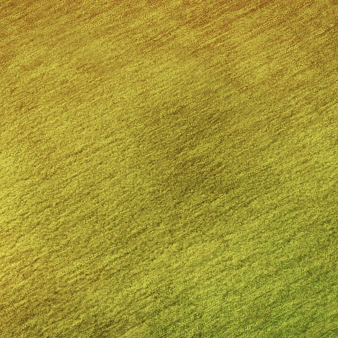 8' X 10' Terra Cotta And Green Ombre Washable Area Rug With UV Protection