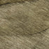 5' X 8' Brown Ivory And Beige Abstract Washable Area Rug With UV Protection