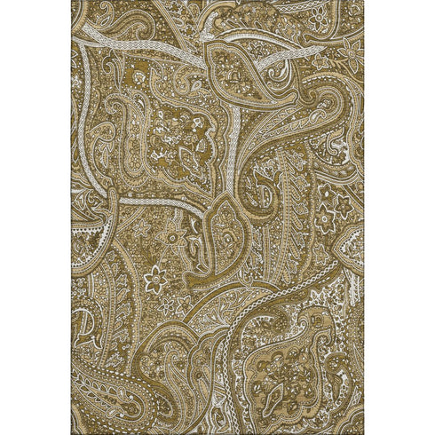5' X 8' Brown And Ivory Paisley Washable Area Rug With UV Protection