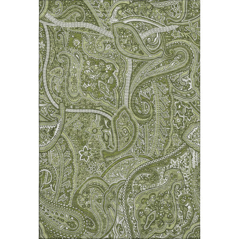 5' X 8' Green And Ivory Paisley Washable Area Rug With UV Protection