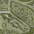 5' X 8' Green And Ivory Paisley Washable Area Rug With UV Protection