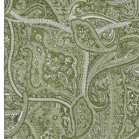 5' X 8' Green And Ivory Paisley Washable Area Rug With UV Protection
