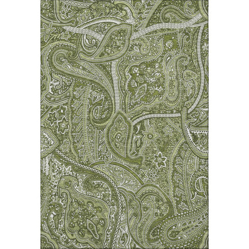 5' X 8' Green And Ivory Paisley Washable Area Rug With UV Protection