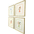 Set Of Four Bird with Shell Gold Framed Wall Art
