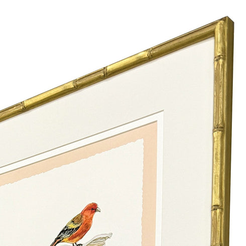 Set Of Four Bird with Shell Gold Framed Wall Art