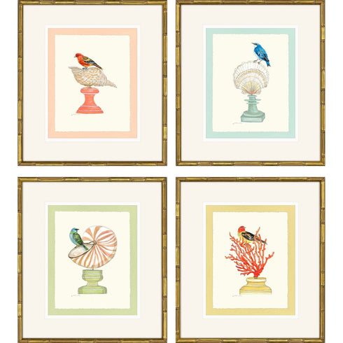 Set Of Four Bird with Shell Gold Framed Wall Art