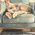 Canine Portrait Gold Framed Wall Art