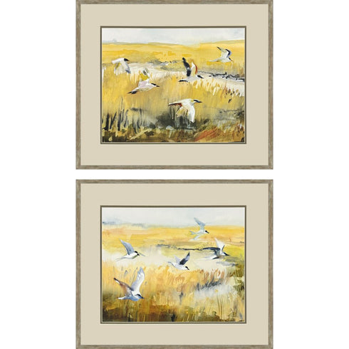 Set Of Two Terns on Marsh Silver Framed Wall Art